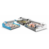Vitrine réfrigérée spéciale Poissons 2GN11 XL VX2 Sayl-mondialchr.com