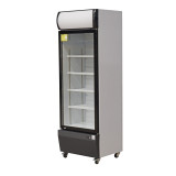 ARMOIRE A BOISSONS R290A, 320L, 1 P. BATTANTE