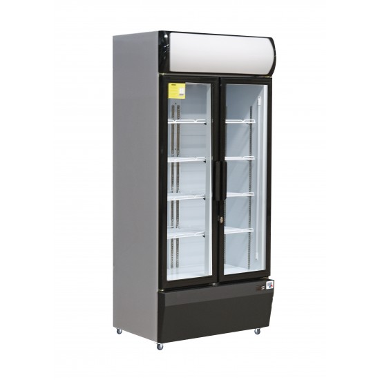 ARMOIRE A BOISSONS R290A, 580L, 2 P. BATTANTES