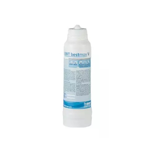 Cartouche de filtration Bestmax V M0812115 BWT-mondialchr.com