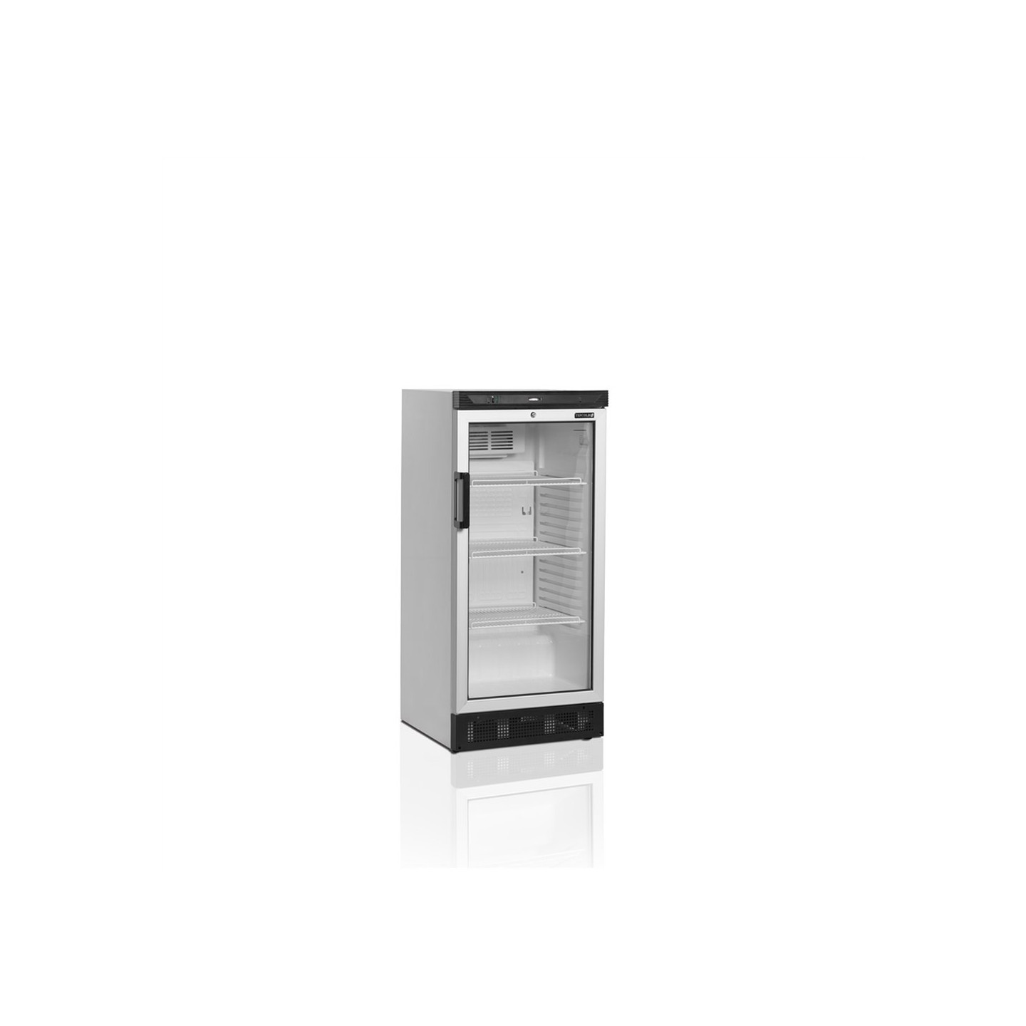 Réfrigérateur à boissons FS1220 15887 TEFCOLD-mondialchr.com