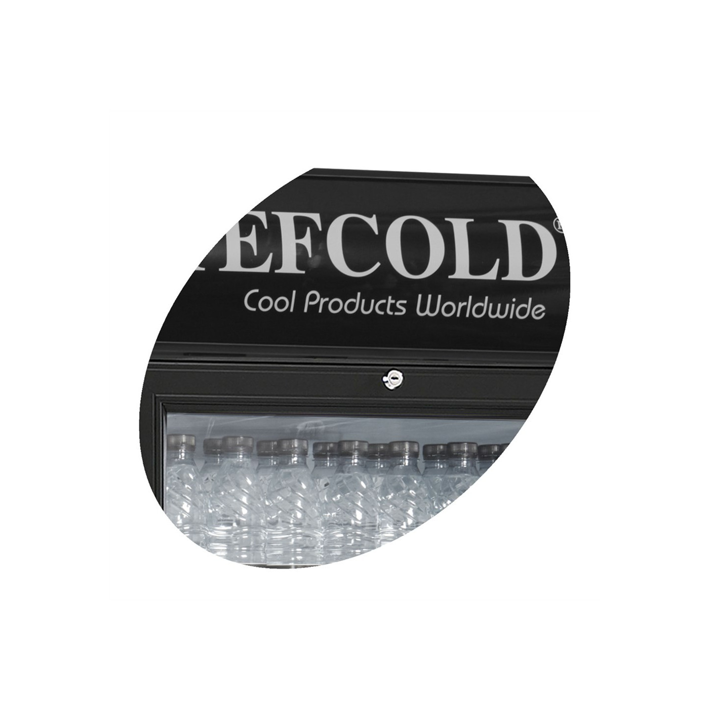 Réfrigérateur à boissons SCU1280CP 15919 TEFCOLD-mondialchr.com