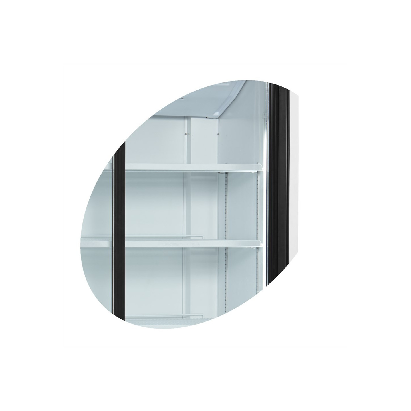 Réfrigérateur vitré FS1002S 2 portes 15946 TEFCOLD-mondialchr.com