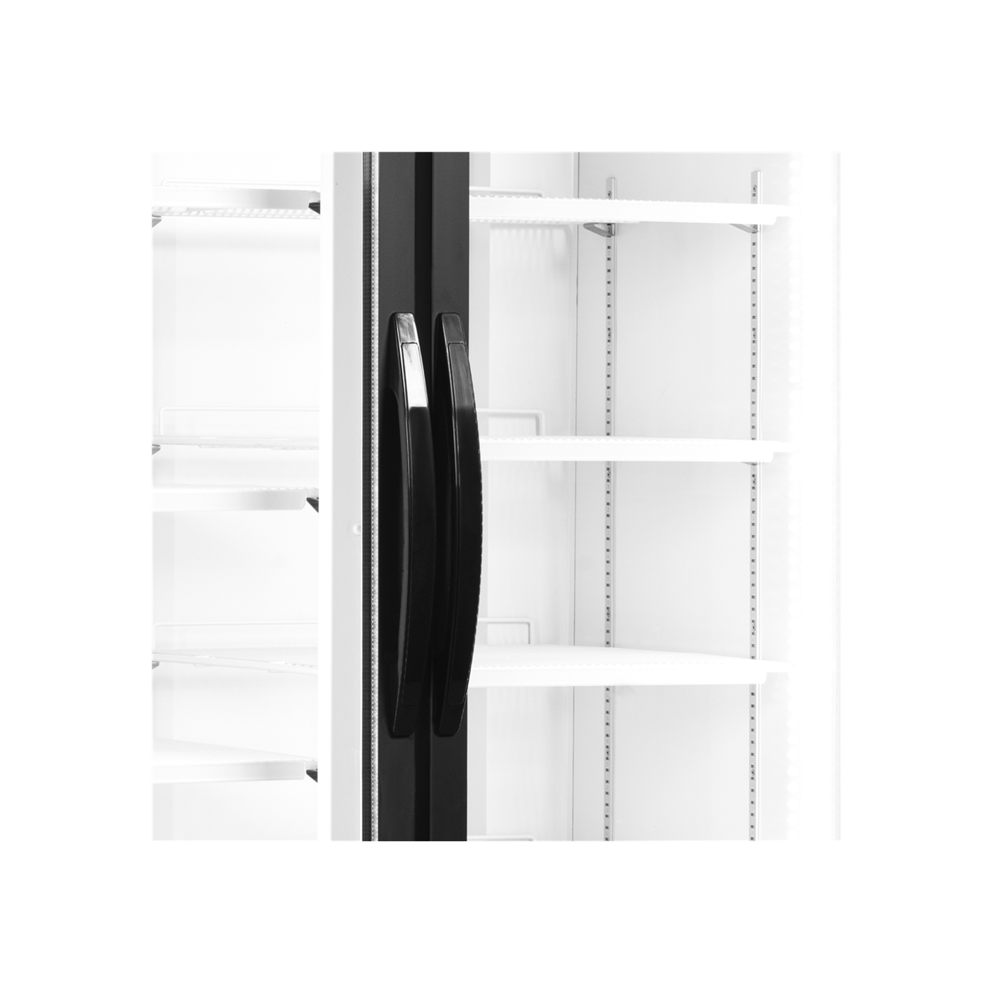 Réfrigérateur vitré  FS1202H 2 portes 34449 TEFCOLD-mondialchr.com