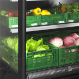 Vitrine réfrigérée pour supermarché à froid positif EXTRA1250CD 38471 TEFCOLD-mondialchr.com