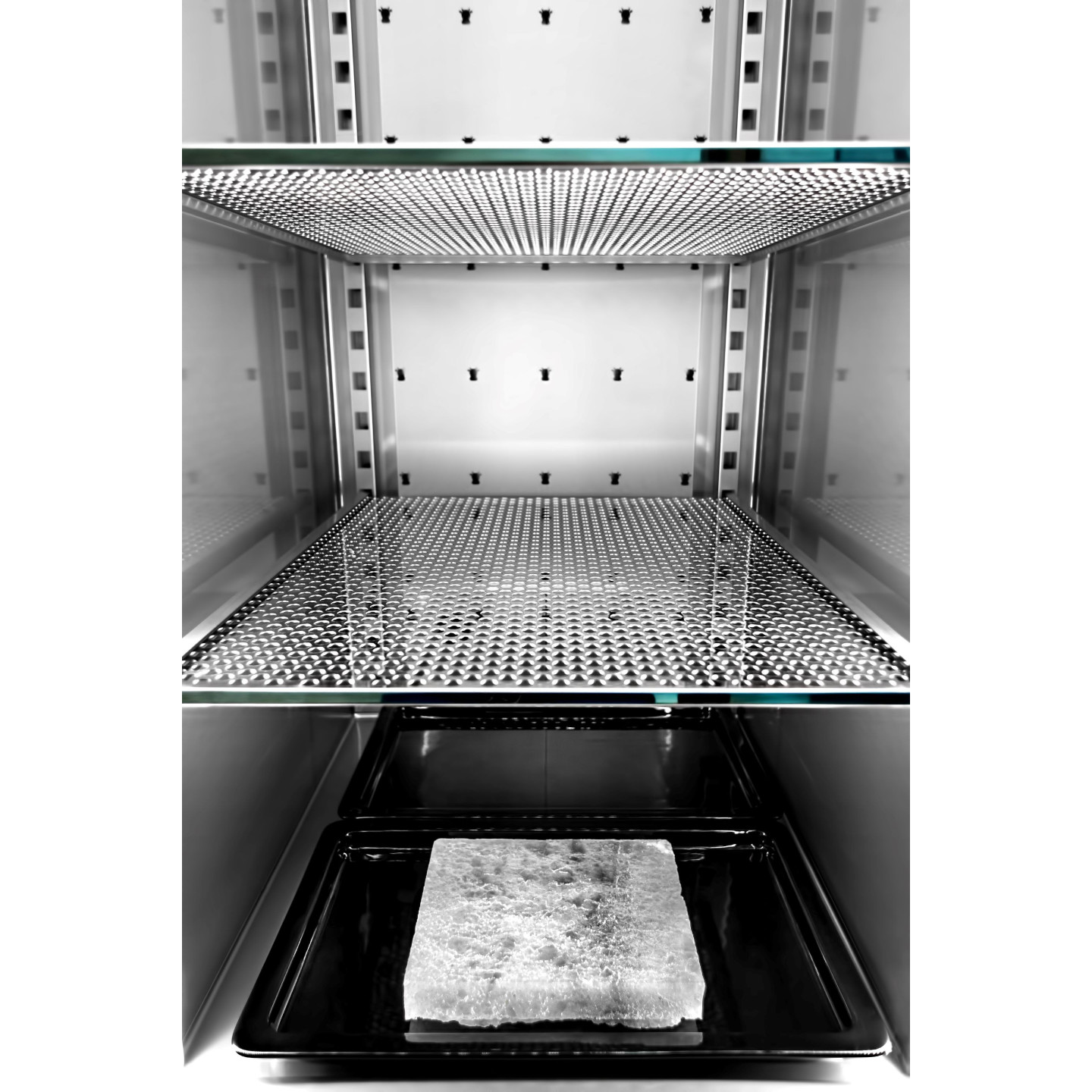 Armoire refrigeree de maturation de viande 461-1055 L2G -mondialchr.com