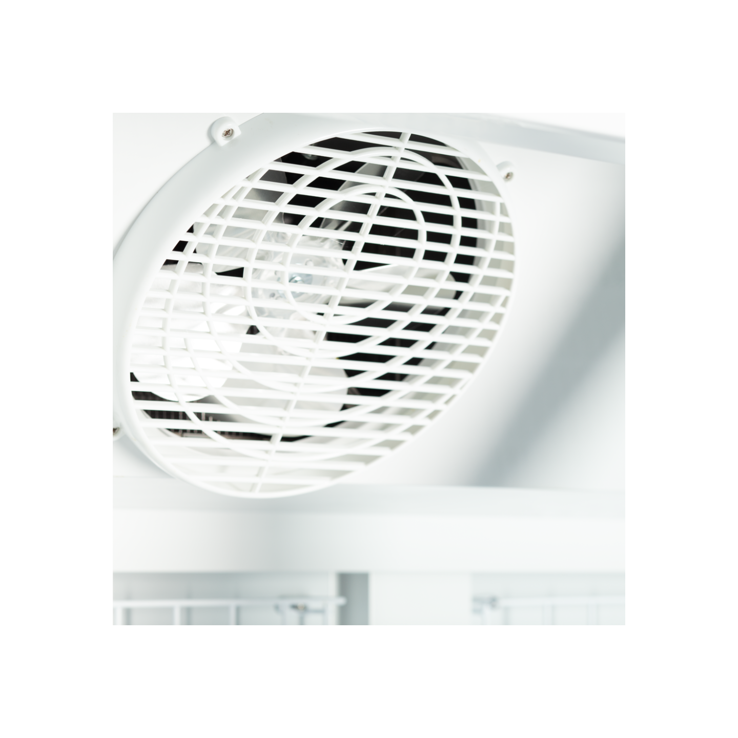 Congélateur vertical de vitrine Atom Maxi L1253mm TEFCOLD-mondialchr.com