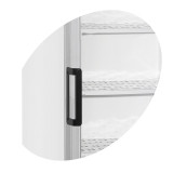 Congélateur vertical de vitrine L595mm UFFS370GCP TEFCOLD -mondialchr.com