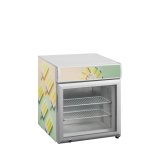 Congélateur de table top UF50GCP 48L TEFCOLD -mondialchr.com