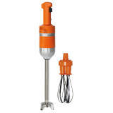 Mixeur plongeant Professionnel Senior COMBI 300 Dynamic-mondialchr.com