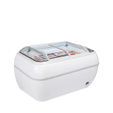 Congélateur de supermarché TWIN HEAD-CF 16323 TEFCOLD-mondialchr.com