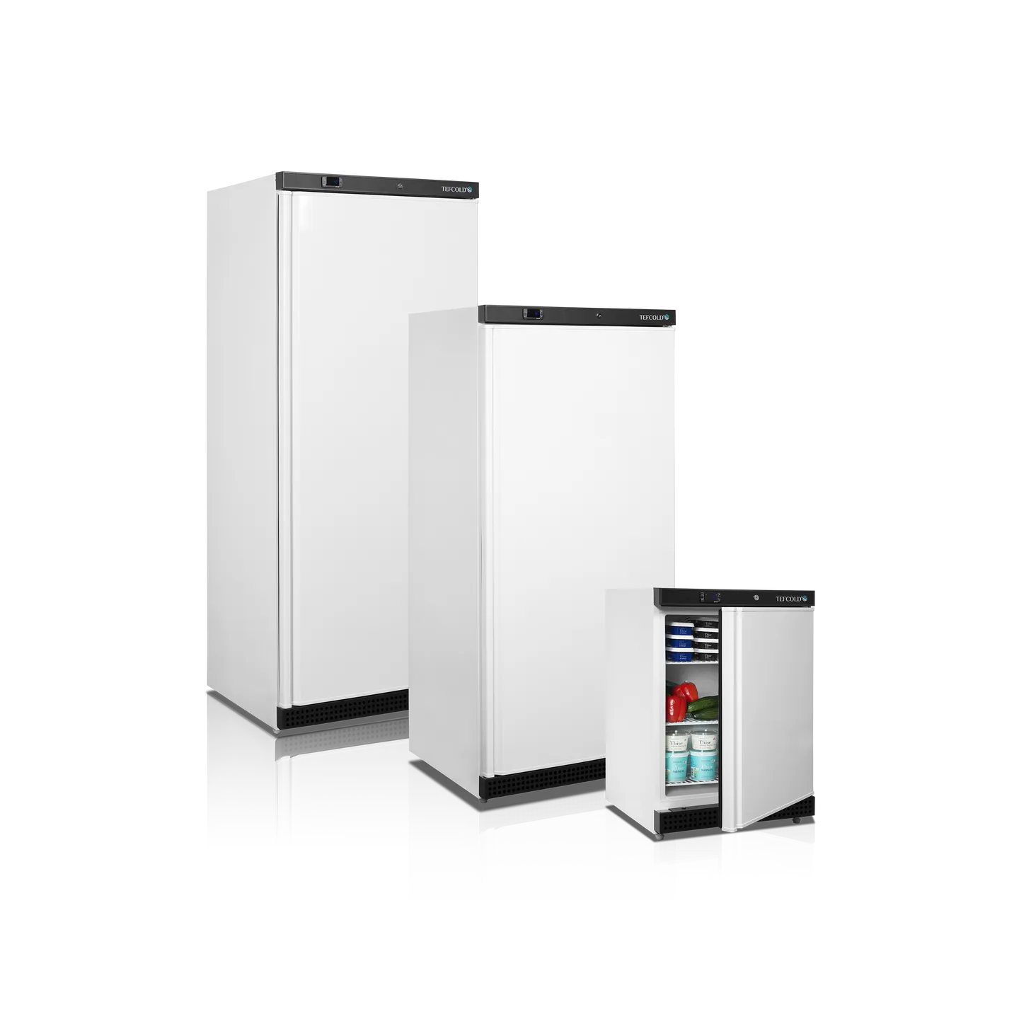 Refroidisseur de stockage UR200 32311 ( 136 / 119 L) blanc TEFCOLD-mondialchr.com