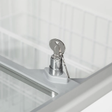 Congélateur vitré de crème glacée IC401SC ( 401 / 350)blanc 49761 TEFCOLD-mondialchr.com