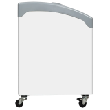 Congélateur vitré de crème glacée NIC501SCEB (475 / 367) blanc 48864 TEFCOLD-mondialchr.com
