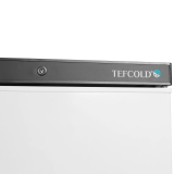 Congélateur de stockageGN2/1 UF600 (605 / 555 L) Blanc 32313 TEFCOLD-mondialchr.com