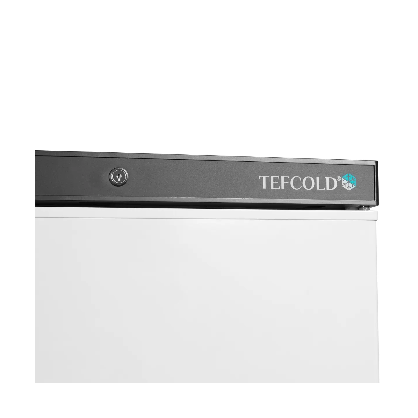 Congélateur de stockageGN2/1 UF600 (605 / 555 L) Blanc 32313 TEFCOLD-mondialchr.com