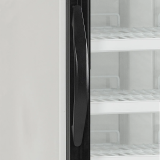 Congélateur vertical vitré NF2500G (515 / 412 L) Blanc 16191 TEFCOLD-mondialchr.com