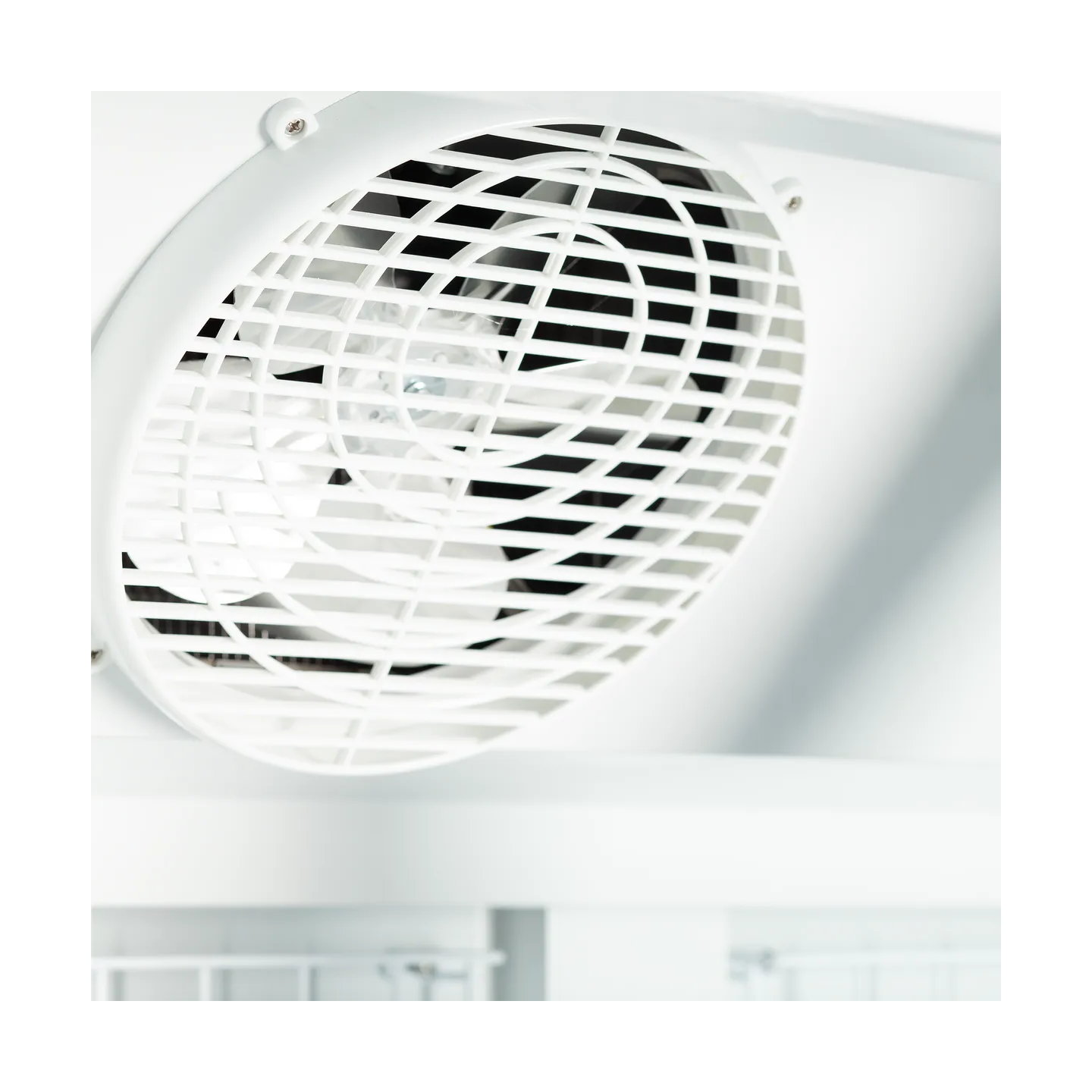 Congélateur vertical vitré Atom Maxi F2DB (1006 / 702L) Noir 47531 TEFCOLD-mondialchr.com