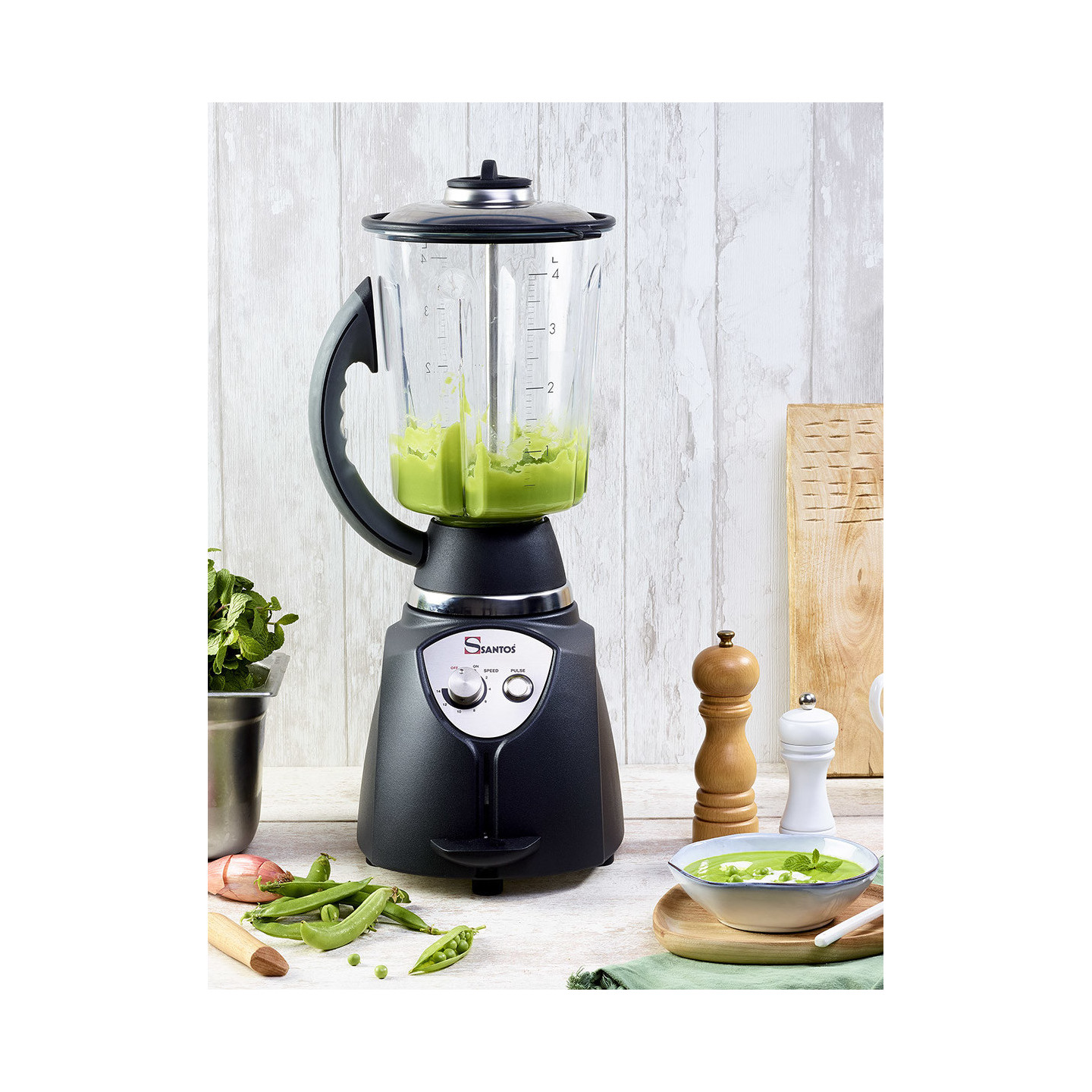 Blender de cuisine 4L Bol transparent SANTOS