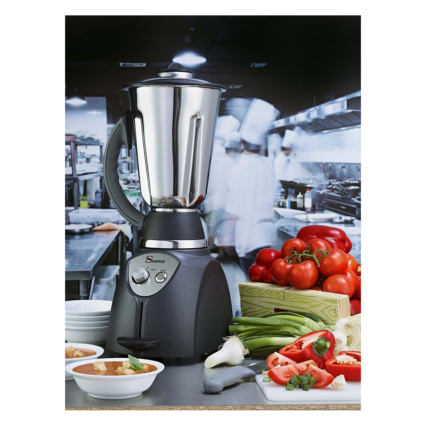 Blender de cuisine 4L Bol Inox SANTOS