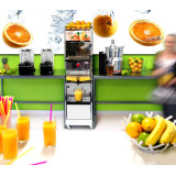 PRESSE-ORANGES AUTOMATIQUE 32 T SANTOS