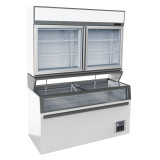 Chambre murale frigorifique 2 portes Combisteel 7455.2520–mondialchr.com