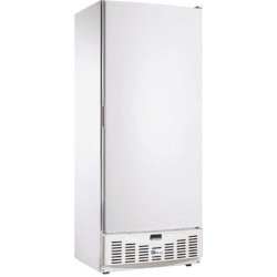 Armoire à boissons positive ventilée 520L Double GN 2/1 porte pleine intérieur abs AFI Collin-Lucy