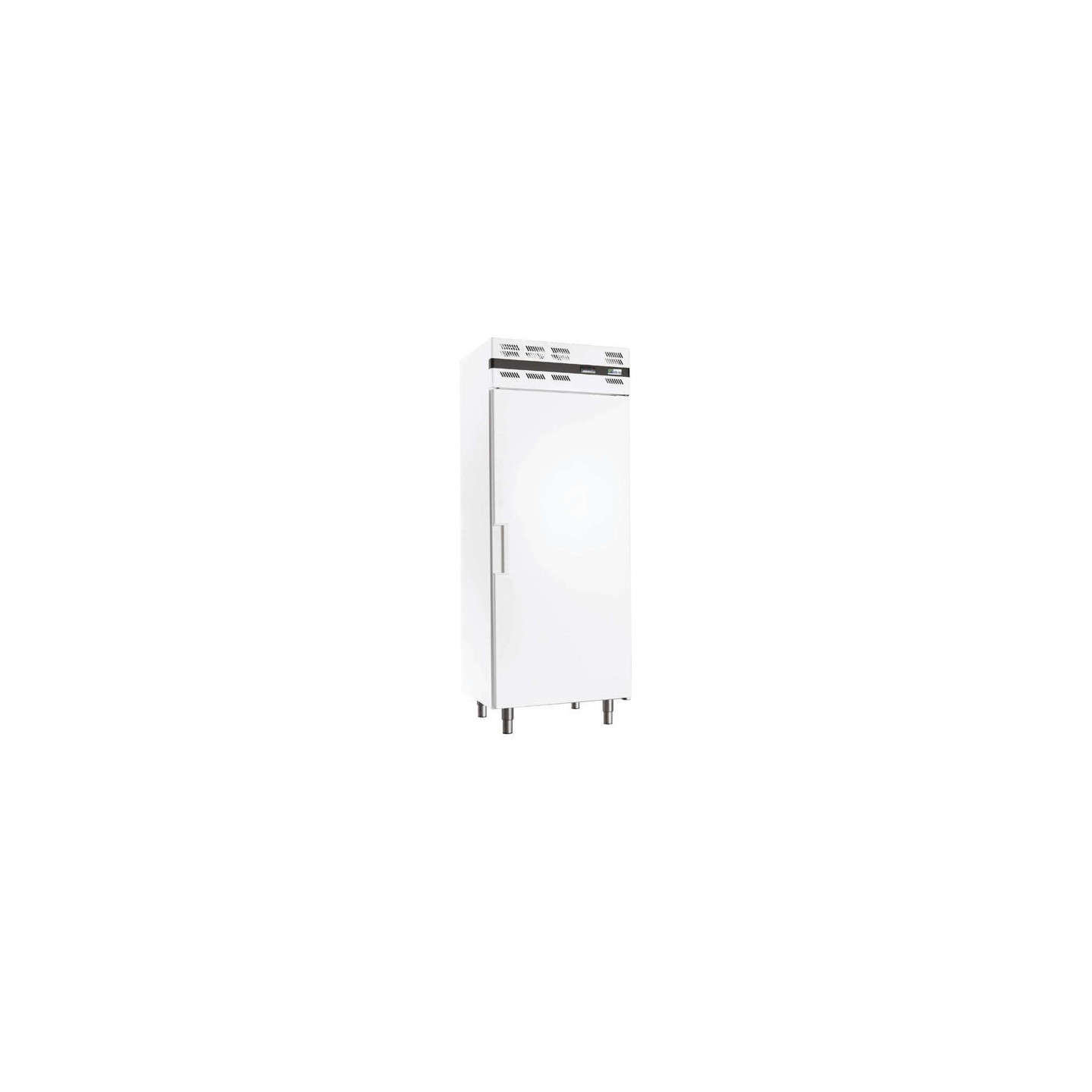 Armoire à boissons positive 535L GN 2/1 porte pleine extérieur blanc AFI Collin-Lucy