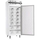 Armoire à boissons négative 535L GN 2/1 porte pleine extérieur blanc AFI Collin-Lucy