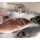 Buffet réfrigéré spécial poisson SCAIOLA