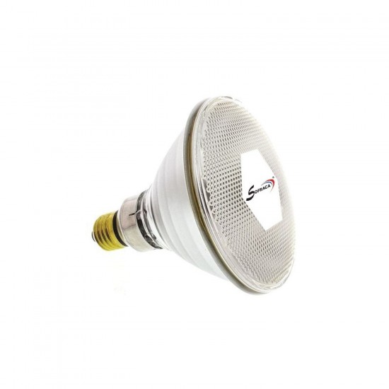 Ampoule blanche 250W pour lampes chauffantes Sofraca-mondialchr.com