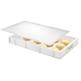 Couvercle pour bac à pâtons 600x400 Pavoni et Gilac-mondialchr.com