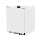Armoire réfrigérée négative 200L 1 Porte SOFRACOLD Sofraca-mondialchr.com